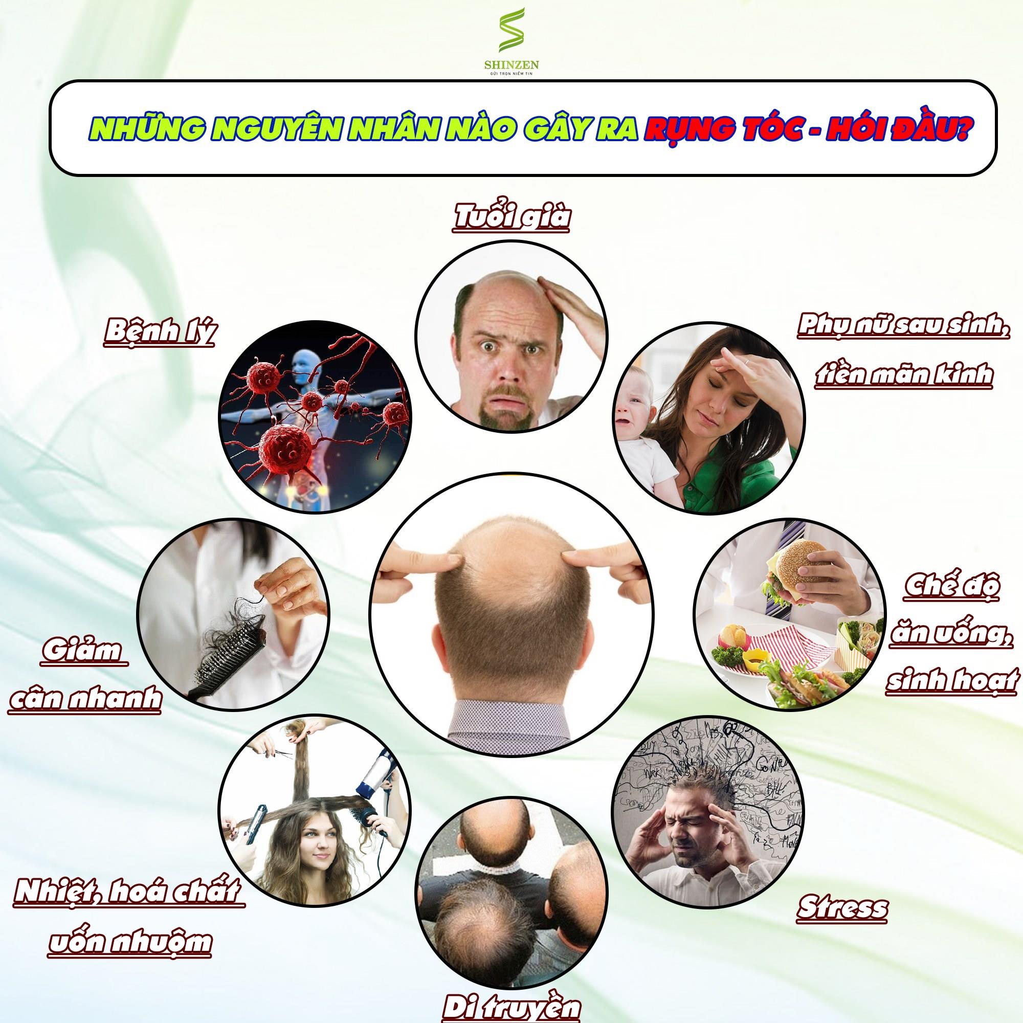NHỮNG NGUYÊN NHÂN NÀO GÂY RA RỤNG TÓC - HÓI ĐẦU?